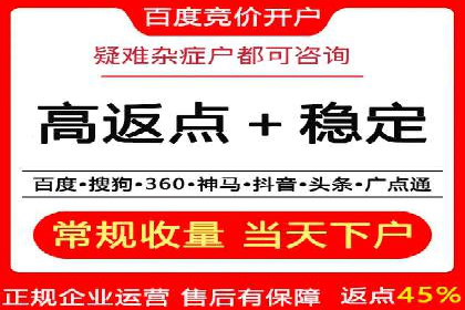 百度推广案例：精准广告投放策略解析