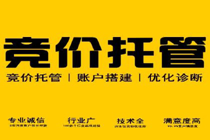 百度SEO推广公司案例：如何快速提升网站排名